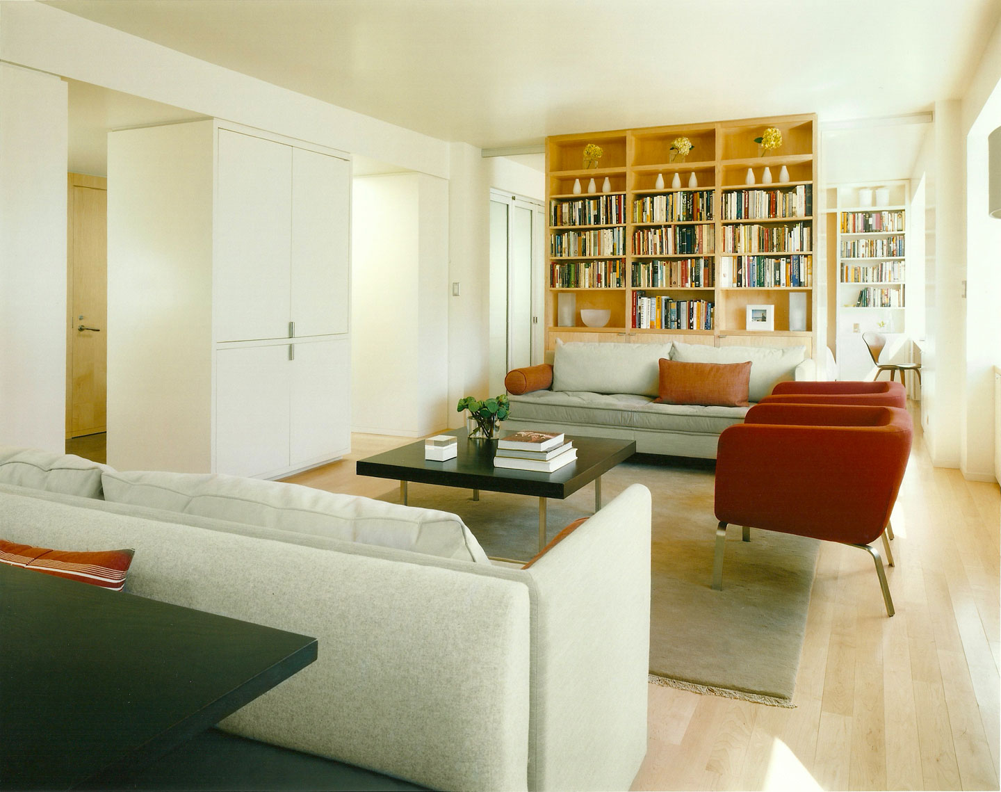 A Medium Apartment in New York © Catherine Tighe